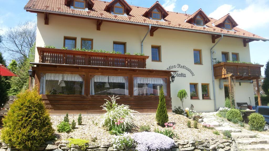 Pension Siesta Želnava Kültér fotó